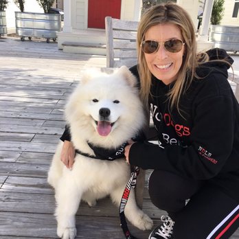 No Dogs Left Behind - Animal Shelters Near Me No Dogs Left Behind - Animal Shelters Near Me