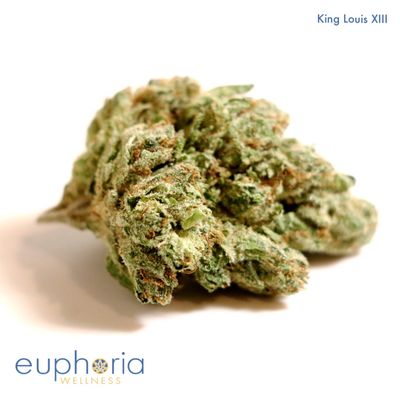 Euphoria Wellness by null