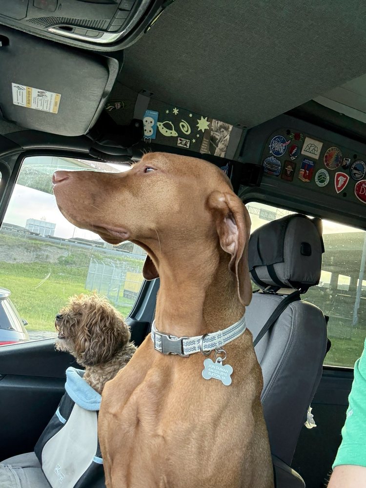 Setos Towing and Service Center