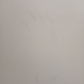 Elite Power Moves - Hand prints left by them. - Movers Near Me - Largo, Florida