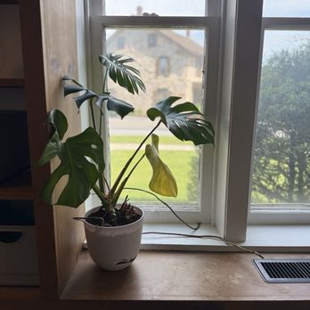 Stan’s Coffee Company - Plants love this place! - Coffee & Tea Near Me - Thompsontown, Pennsylvania Stan’s Coffee Company - Plants love this place! - Coffee & Tea Near Me - Thompsontown, Pennsylvania
