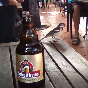 Sto Steki - Geflügel hab ich nicht bestellt - Cafes Near Me - Berlin, BE Sto Steki - Geflügel hab ich nicht bestellt - Cafes Near Me - Berlin, BE