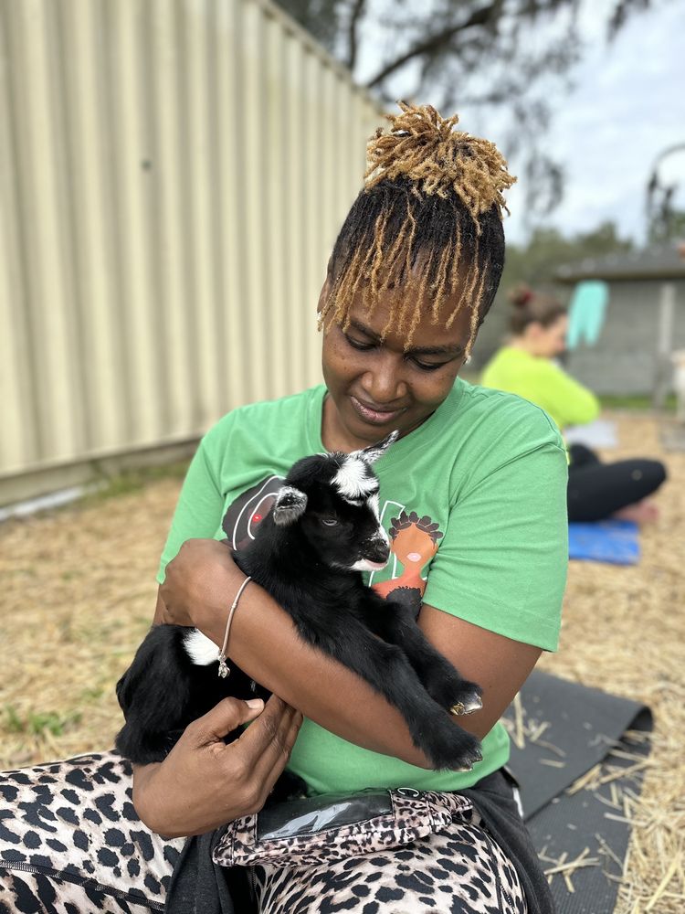 Grady Goat Yoga - equestrian in Thonotosassa, FL