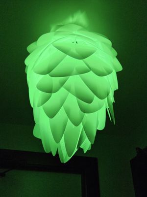 Hop Life Brewing by null