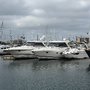 Nauti Guys & Gals, Inc