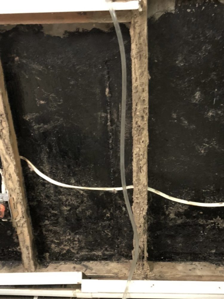 Jensen's Pest Control - veterans service organization in Derry, NH