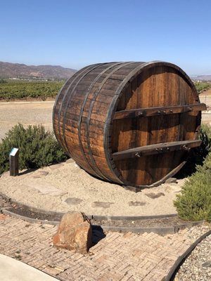Museum of the Vine and Wine by null