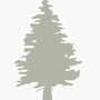 Photo of Fir Tree Piano Tuning and Repair