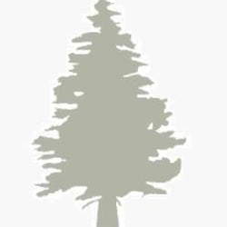 Fir Tree Piano Tuning and Repair
