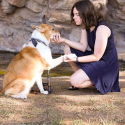 Arizona Hair Co #15 - 48th St & Warner - Graduation pics with my dog and new haircut, within 3 days of cut and after home wash.