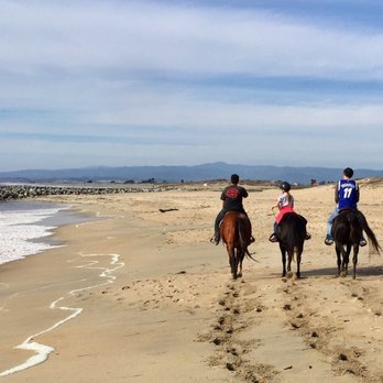 Dreamor Ranch - Amazing view and beautiful horses! - Horseback Riding Near Me - Coulterville, California Dreamor Ranch - Amazing view and beautiful horses! - Horseback Riding Near Me - Coulterville, California