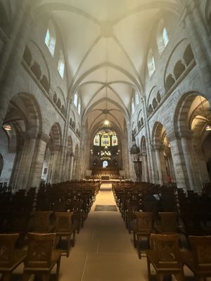 Basler Münster by null