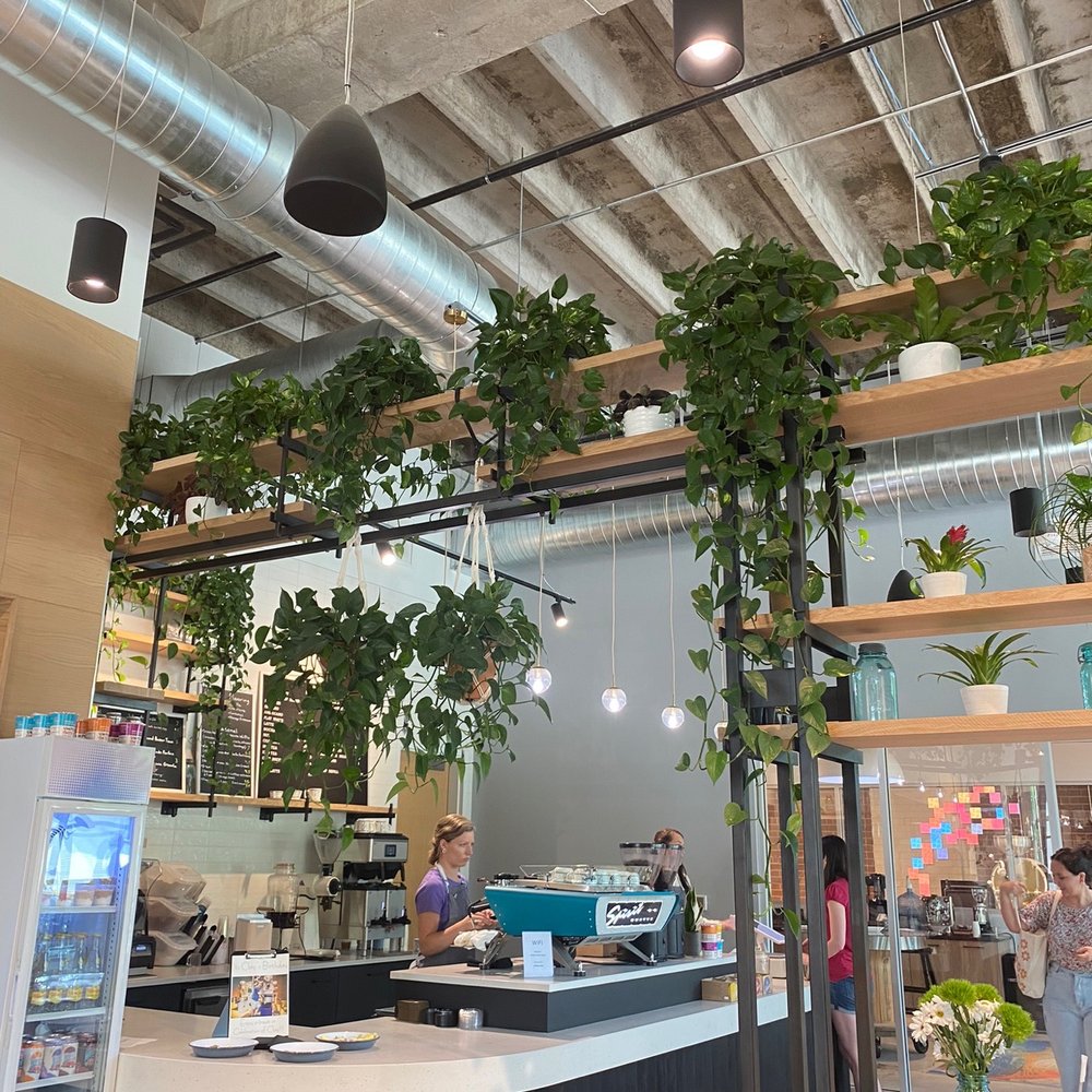 Coffee at Station West - Another view of the coffee bar and lovely plants - Coffee & Tea Near Me - Charlotte, North Carolina