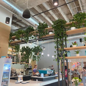 Coffee at Station West - Another view of the coffee bar and lovely plants - Coffee & Tea Near Me - Charlotte, North Carolina