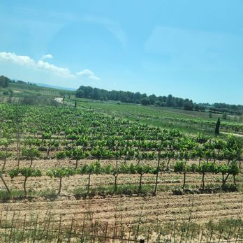 Oller del Mas - Wineries Near Me - Manresa, B Oller del Mas - Wineries Near Me - Manresa, B