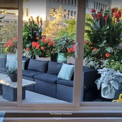 The Chinook Gardener - Gorgeous Annuals - both live and everlasting!
Create your own private oasis with living colour