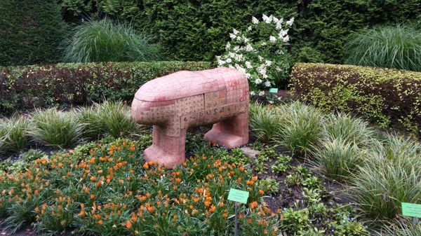 Botanical Garden of the University of Wrocław by null