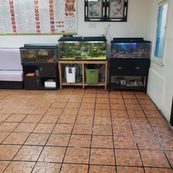 China Garden - Fish tanks