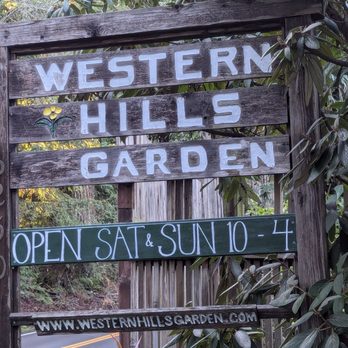 Western Hills Garden - Welcome to Western Hills Garden - Nurseries & Gardening Near Me - Occidental, California Western Hills Garden - Welcome to Western Hills Garden - Nurseries & Gardening Near Me - Occidental, California