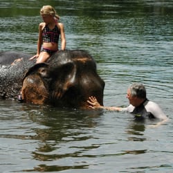 Baja Jones Adventures Travel - Elephant.