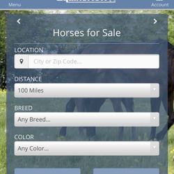 The Mesa Stables