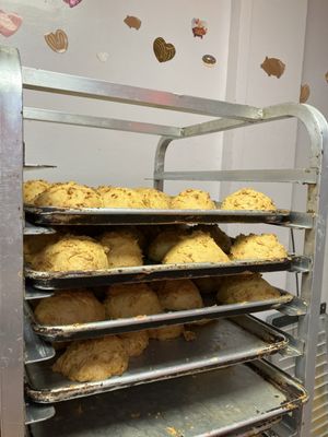 Guadalupana Bakery by null