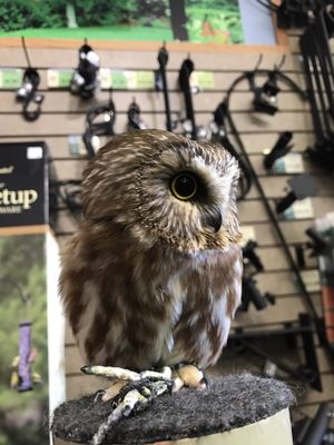 Wild Birds Unlimited Pet Stores 12204 107th Ave N W