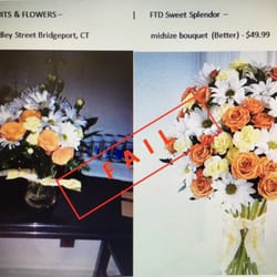 Fruits & Flowers