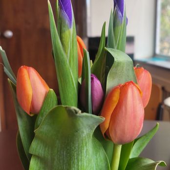 GUY'S FLOWERS - Updated November 2025 - 28 Photos & 64 Reviews