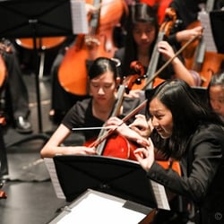 Arcadia Performing Arts Center - Orchestra 3: Pre-professional resident company