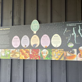 Spotted Duck - about spotted duck - Ice Cream & Frozen Yogurt Near Me - Penn Yan, New York Spotted Duck - about spotted duck - Ice Cream & Frozen Yogurt Near Me - Penn Yan, New York