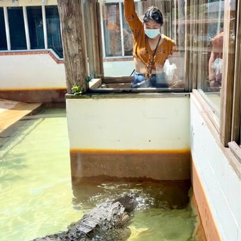 Gatorland - Zoos Near Me - Orlando, Florida