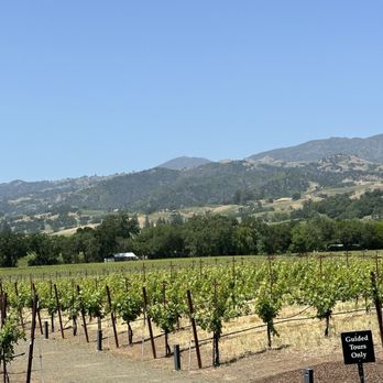 Silver Oak - Healdsburg - Amazing view - Wine Tasting Room Near Me - Healdsburg, California Silver Oak - Healdsburg - Amazing view - Wine Tasting Room Near Me - Healdsburg, California