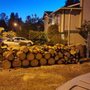 Photo of Vegas Brothers Tree Services & Landscaping