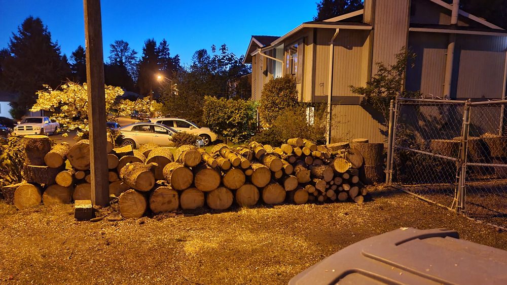 Vegas Brothers Tree Services & Landscaping - tree service in Kent, WA