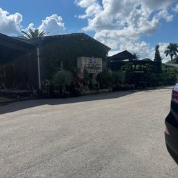 Entrance! Entrance!
