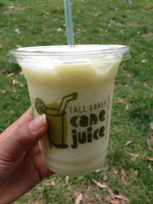 Glebe Markets by null