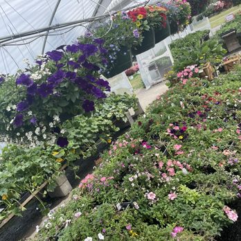 Bi-Zi Farms - Farms Near Me - Vancouver, Washington Bi-Zi Farms - Farms Near Me - Vancouver, Washington