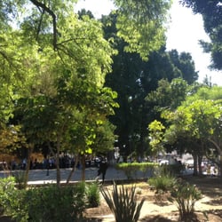 Árboles