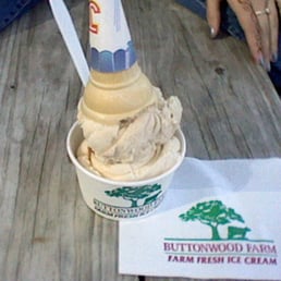 Two Scoops Ice Cream