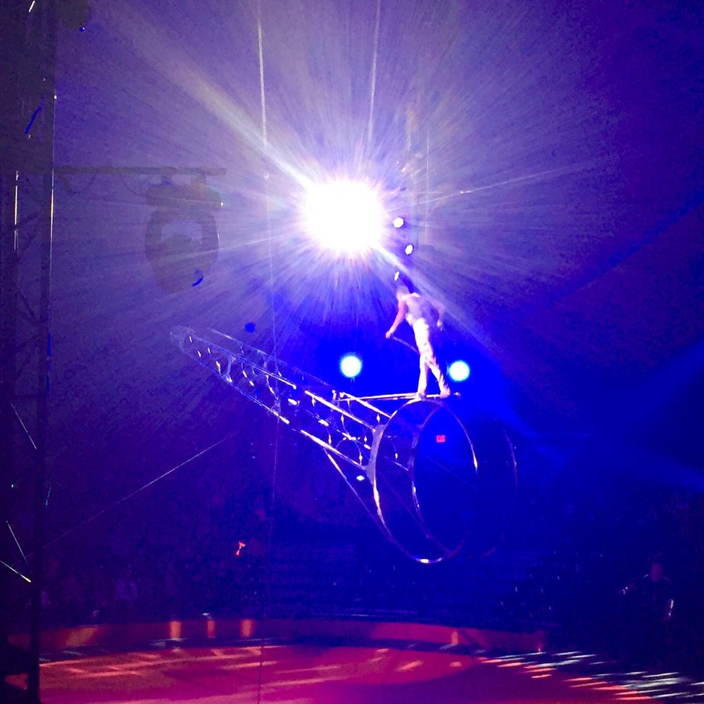 Circo Hermanos Vazquez Citifield - Stadiums & Arenas Near Me - Corona, New York Circo Hermanos Vazquez Citifield - Stadiums & Arenas Near Me - Corona, New York