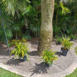 Barrett's Landscaping & Garden Center