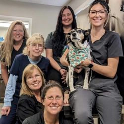 Doctors Park Veterinary Clinic