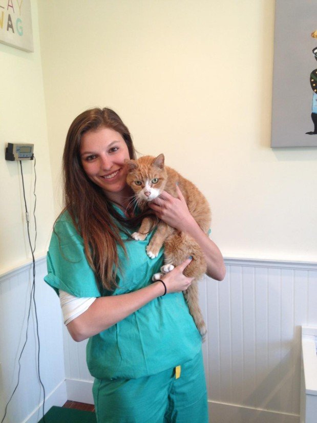 BERKELEY HEIGHTS ANIMAL HOSPITAL Updated September 2024 15 Reviews