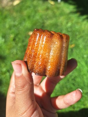 Camellia | Vegan Patisserie by null
