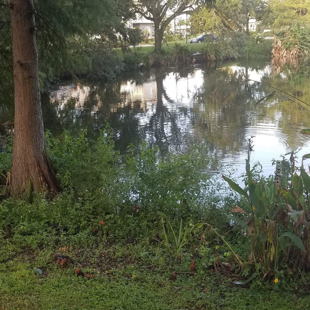 Lake Midget Park - Parks Near Me Lake Midget Park - Parks Near Me