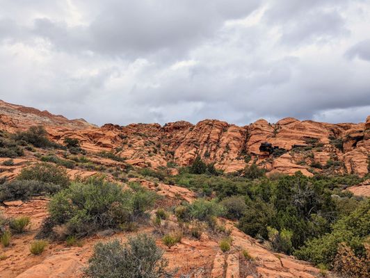 Snow Canyon State Park by null
