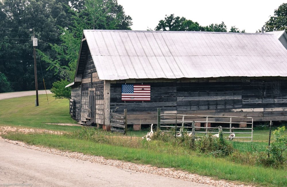THE POND STORE Updated June 2024 182 Fort AdamsPond Rd, Woodville