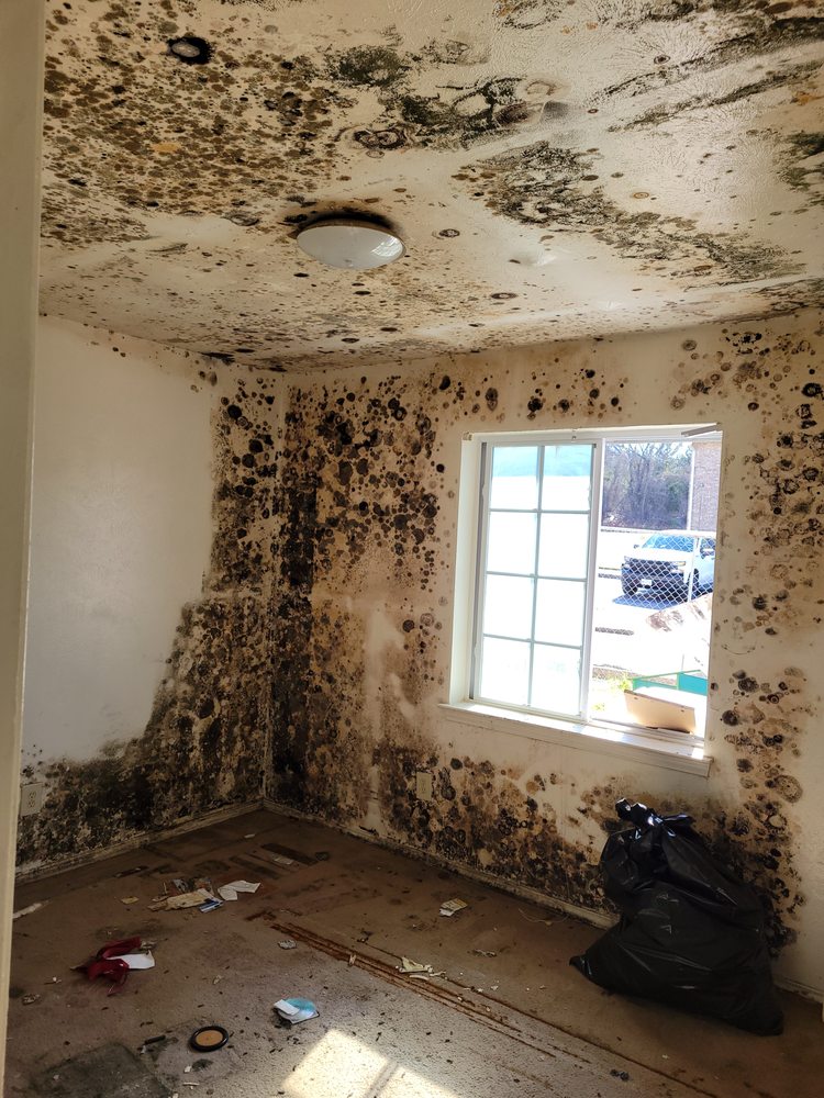 Asbestos Control Of Texas - mold inspector in Galveston, TX