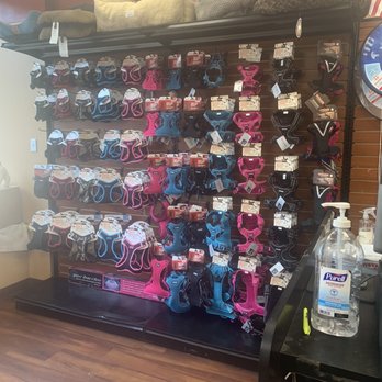 Wespaw Pets - Pet Stores Near Me - Sunnyside, New York Wespaw Pets - Pet Stores Near Me - Sunnyside, New York